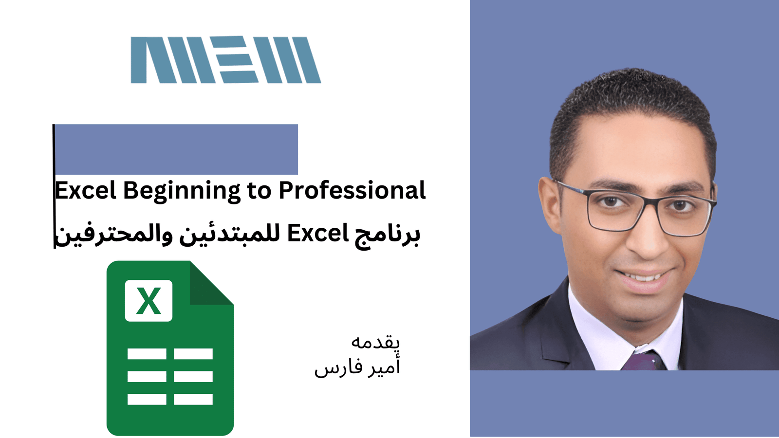 Microsoft Excel Professional